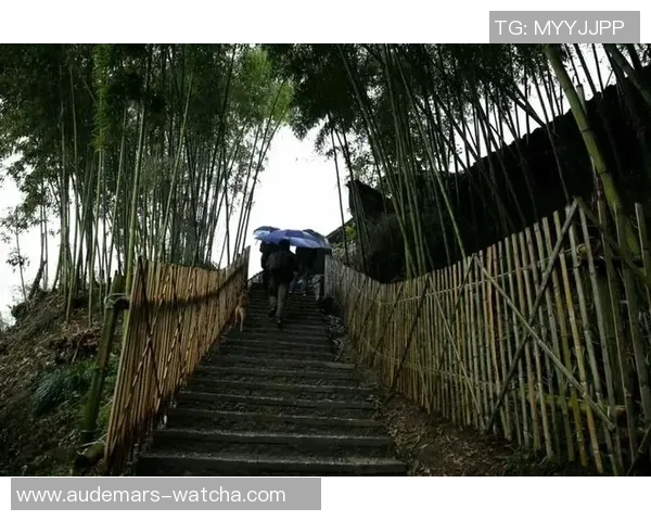 朱字球星纵横足球世界 揭秘他们的传奇足迹与辉煌成就